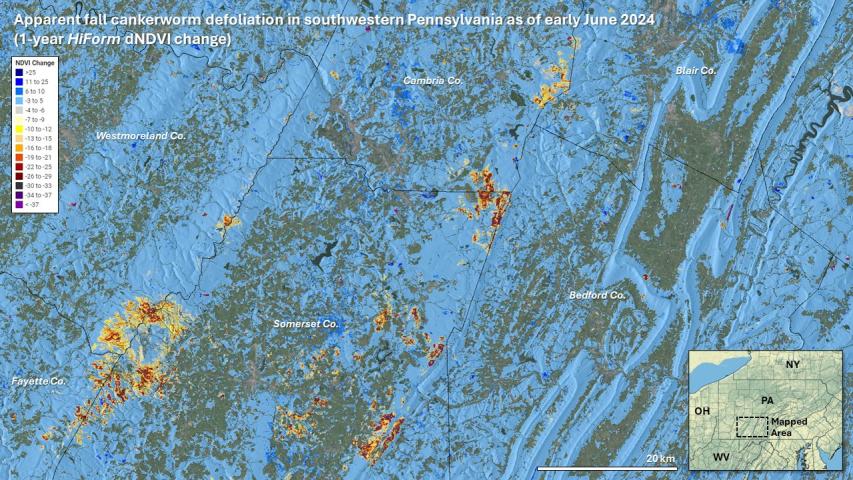 Cankerworm defoliation in southwestern Pennsylvania