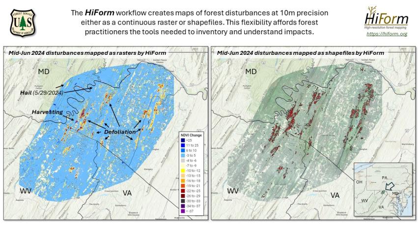 June 2024 defoliation in northeastern Virginia mapped by HiForm