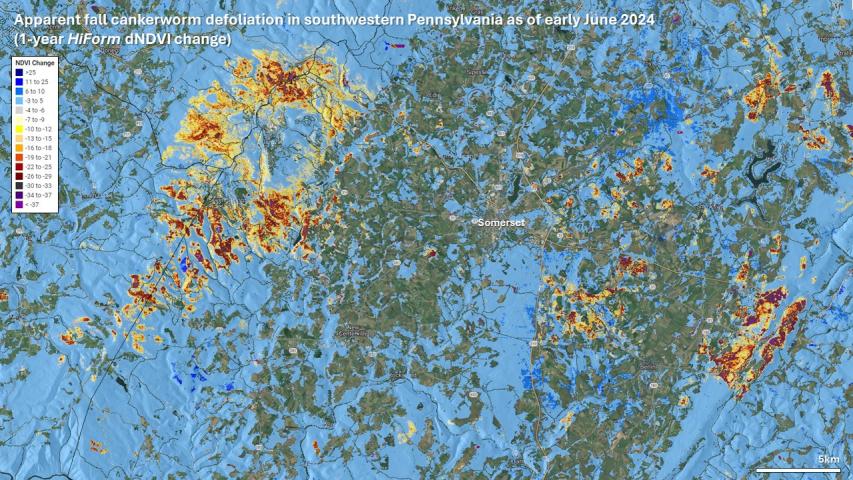 Cankerworm defoliation in southwestern Pennsylvania
