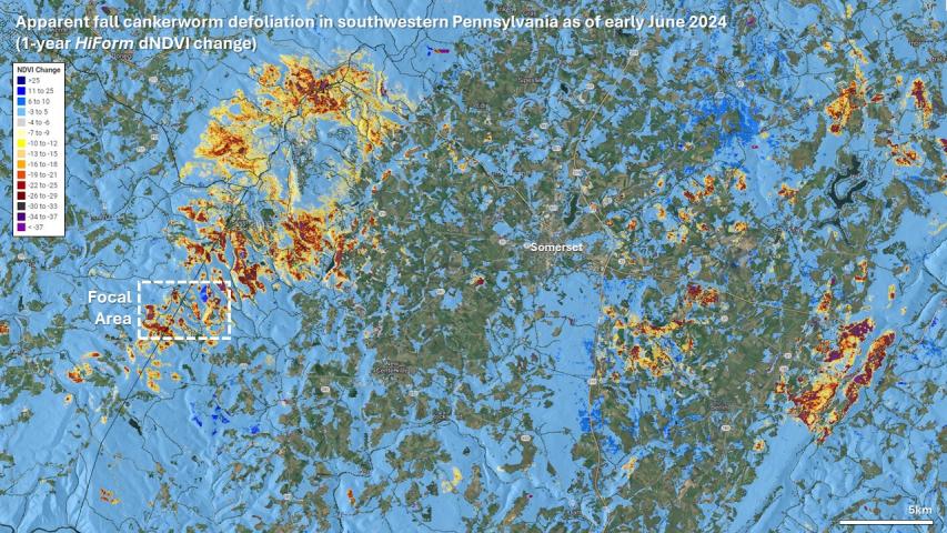 Cankerworm defoliation in southwestern Pennsylvania