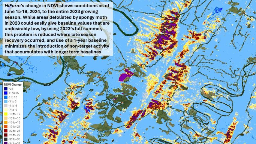 June 2024 defoliation shown by HiForm's change in NDVI