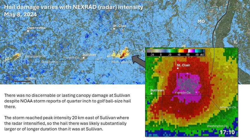 Hail impacts and radar in southern Missouri