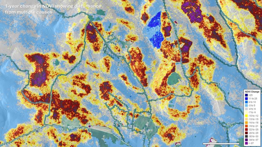 Cankerworm defoliation in southwestern Pennsylvania