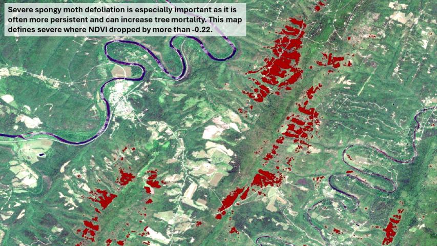 HiForm's severe defoliation raster