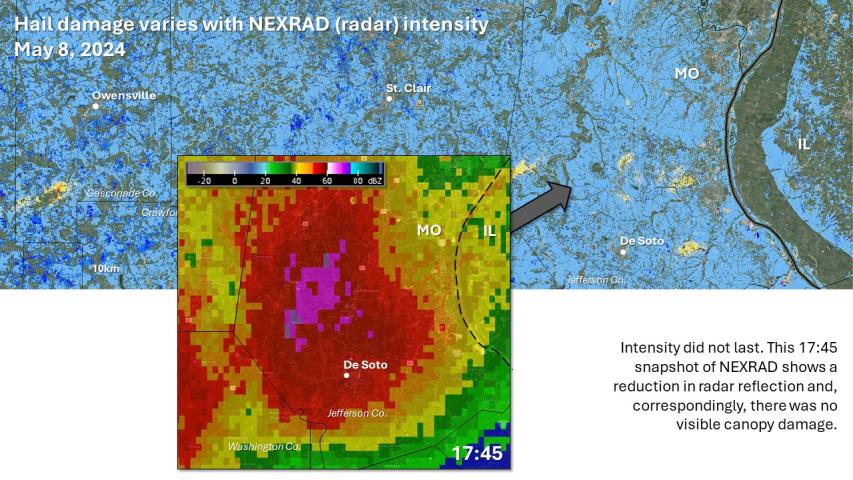 Hail impacts and radar in southern Missouri