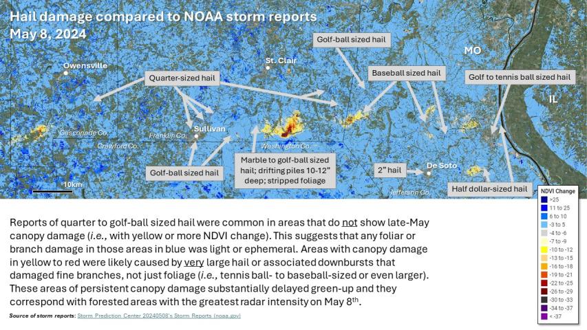 May 8, 2024 hail impacts to forests and NOAA storm reports in southern Missouri