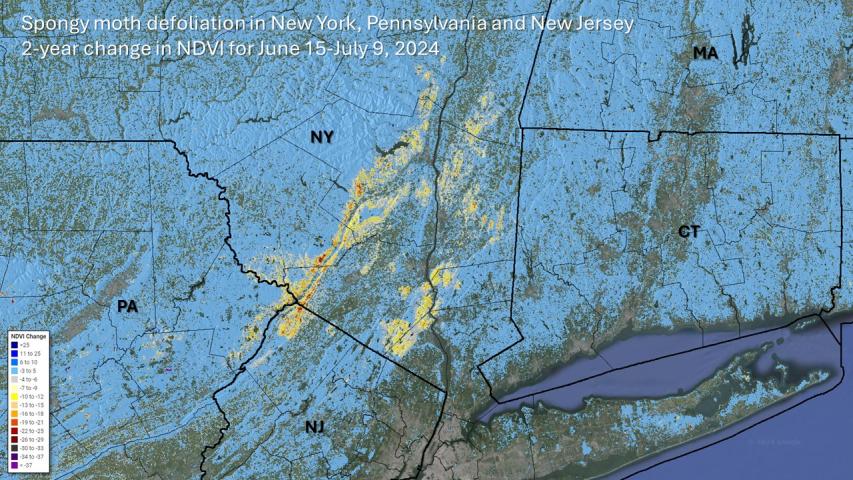 Spongy moth defoliation in New York and Pennsylvania during 2024