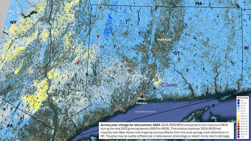 Hail damage and lingering spongy moth defoliation mapped by dNDVI for NY and CT
