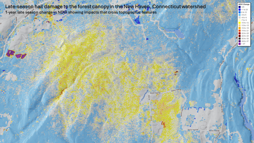 Severe hail damage in the Lake Gaillard, New Haven Connecticut watershed