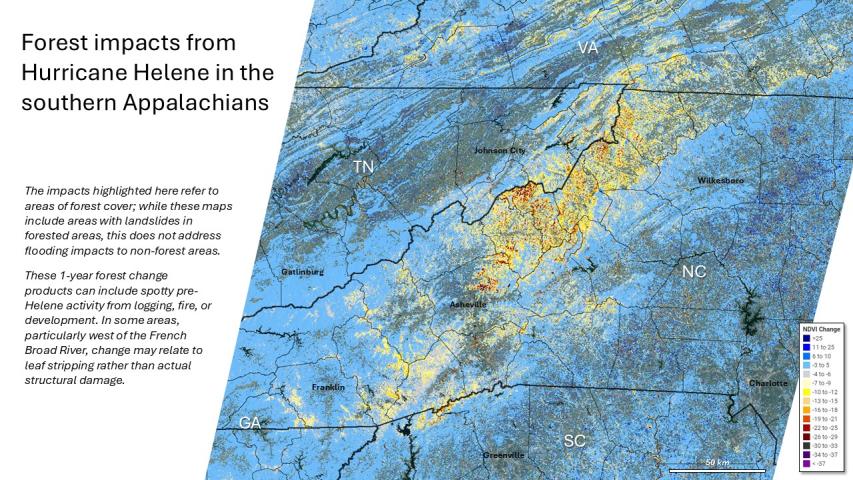 Hurricane Helene damage in the Southern Appalachians from HiForm