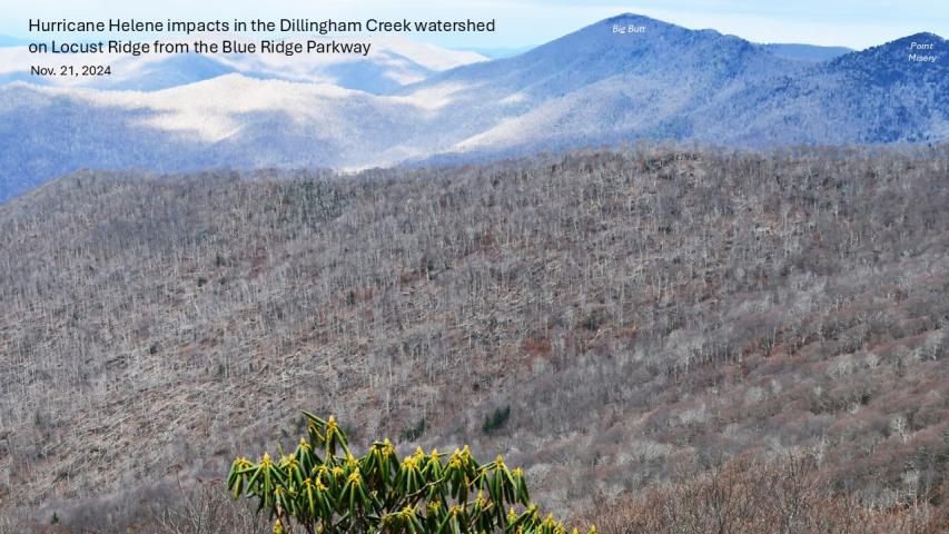 Hurricane Helene damage in the Southern Appalachians - Big Ivy