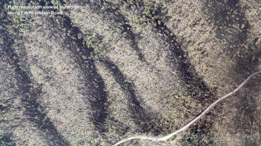 Hurricane Helene damage in the Southern Appalachians - Elk Mountains