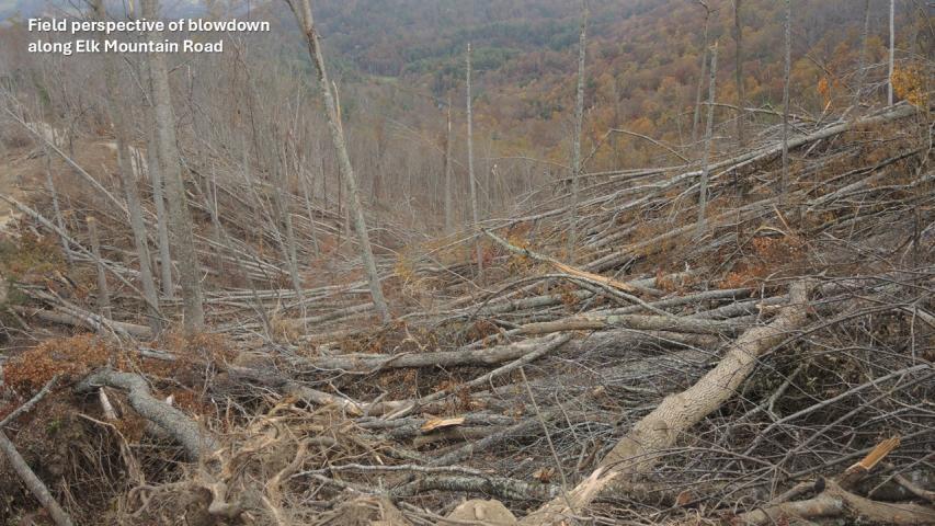 Hurricane Helene damage in the Southern Appalachians - Elk Mountains