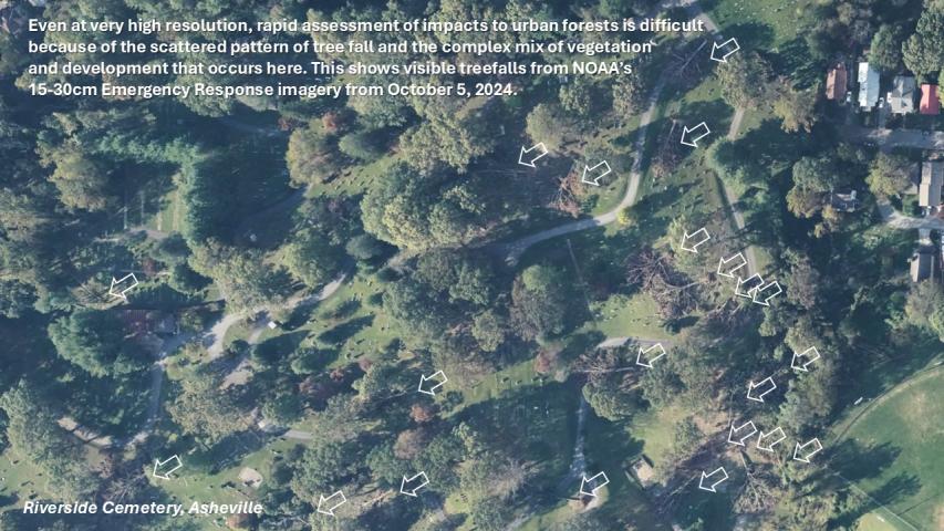 Hurricane Helene damage in the Southern Appalachians- Asheville