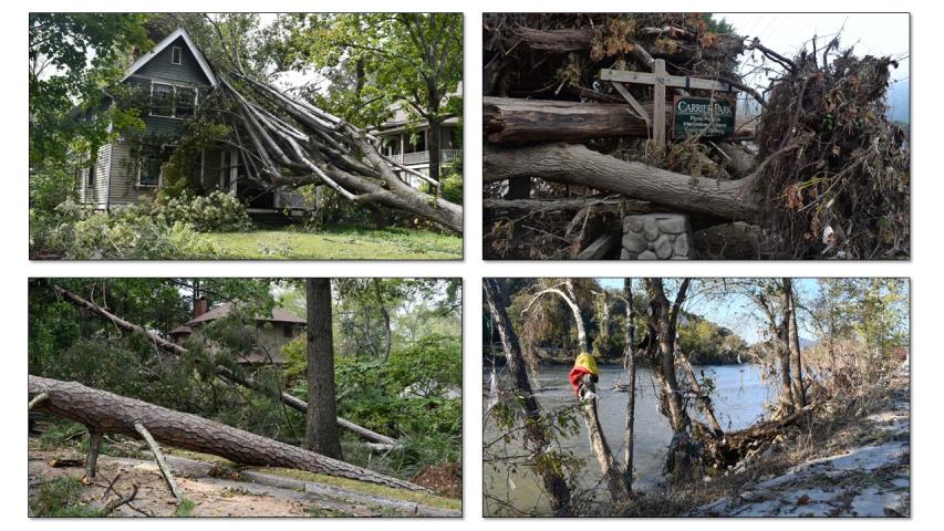 Hurricane Helene damage in the Southern Appalachians- Asheville