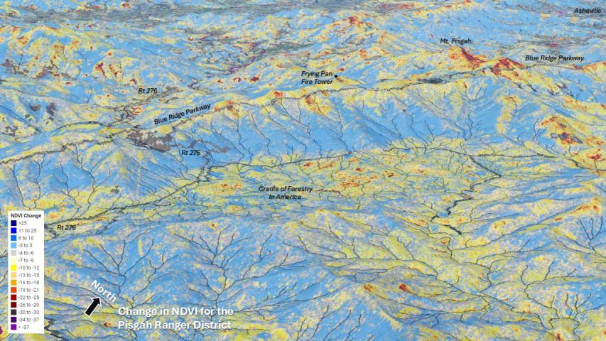 Hurricane Helene damage in the Southern Appalachians- Pisgah RD