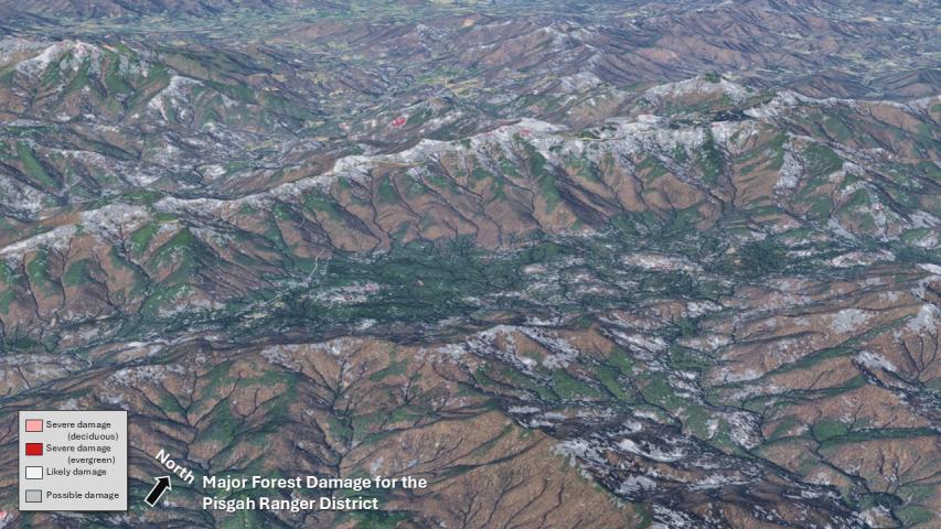 Hurricane Helene damage in the Southern Appalachians- Pisgah RD