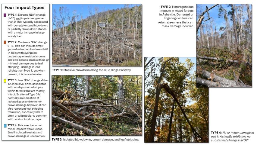 Hurricane Helene damage in the Southern Appalachians - Impact classification