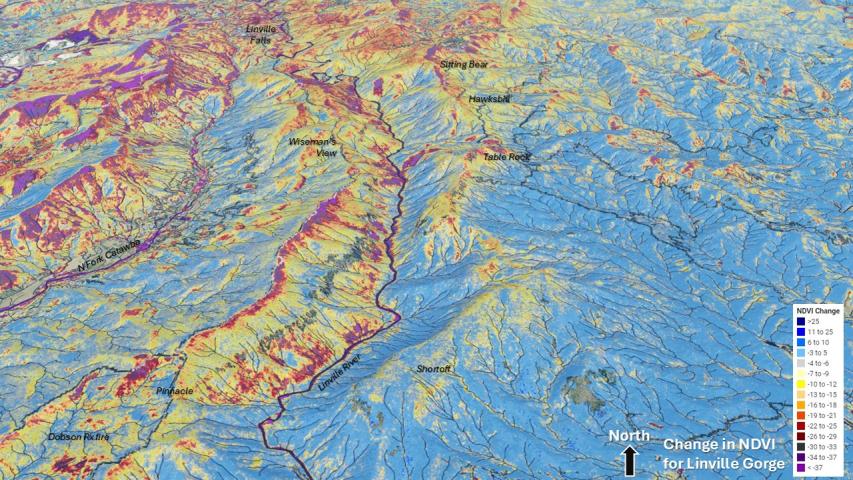 Hurricane Helene damage in the Southern Appalachians- Linville