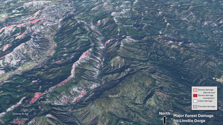 Hurricane Helene damage in the Southern Appalachians- Linville