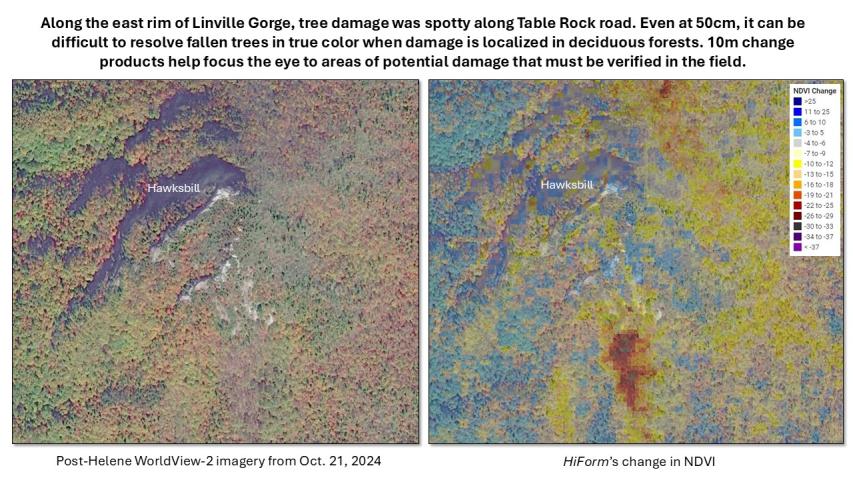 Hurricane Helene damage in the Southern Appalachians- Linville