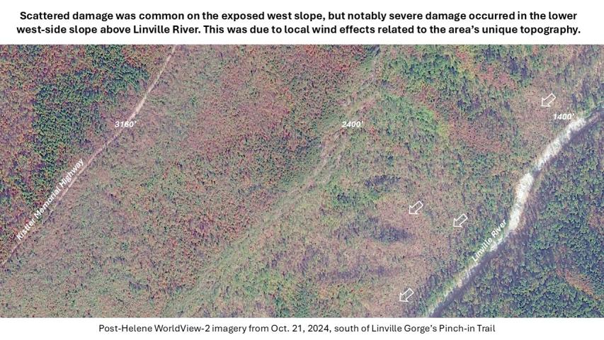 Hurricane Helene damage in the Southern Appalachians- Linville