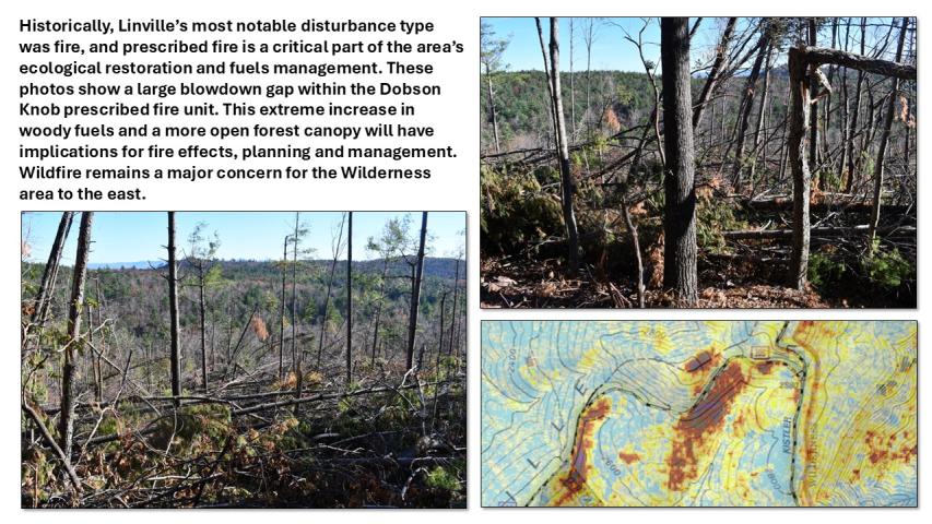 Hurricane Helene damage in the Southern Appalachians - Linville