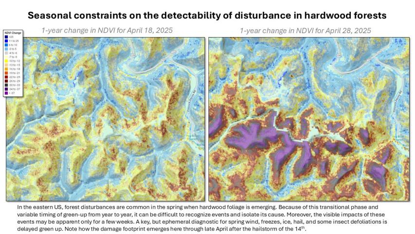 The delayed progress of green up through April reveals where hail damage was greatest near Decoy Kentucky.