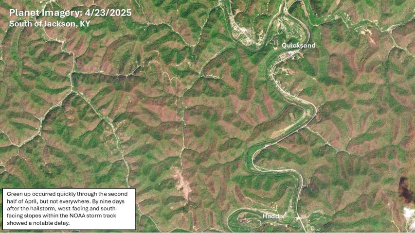 Hail damage starts to become apparent by April 23, 2025 near Jackson Kentucky