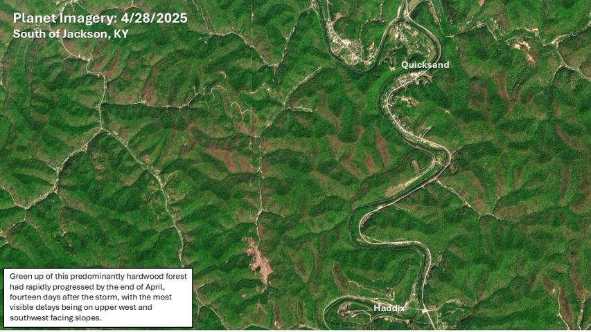 The most severe hail affected stands show up on April 28, 2025 near Jackson Kentucky