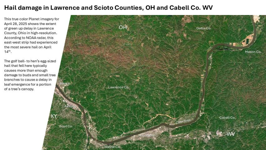 Planet true color imagery for April 28 2025 showing delayed green up from hail damage