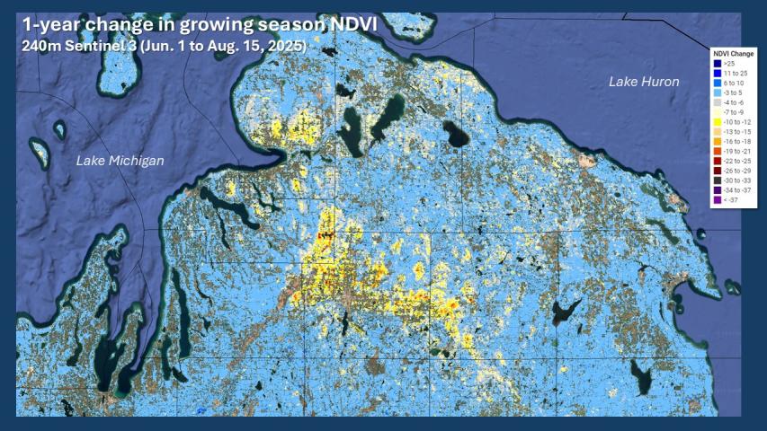 Summer 2025 departures of NDVI showing the area of major forest damage in northern Michigan at 240m resolution