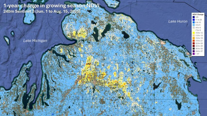 Summer 2025 departures of NDVI showing the area of major forest damage in northern Michigan at 240m resolution