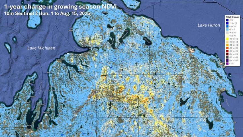 Summer 2025 departures of NDVI showing the area of major forest damage in northern Michigan at 10m resolution