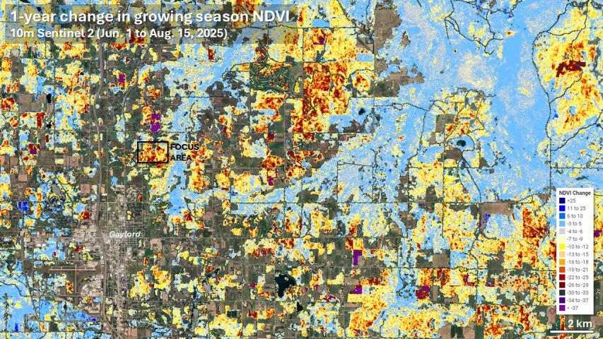 Summer 2025 departures of NDVI showing the area of major forest damage in northern Michigan at 10m resolution northeast of Gaylord