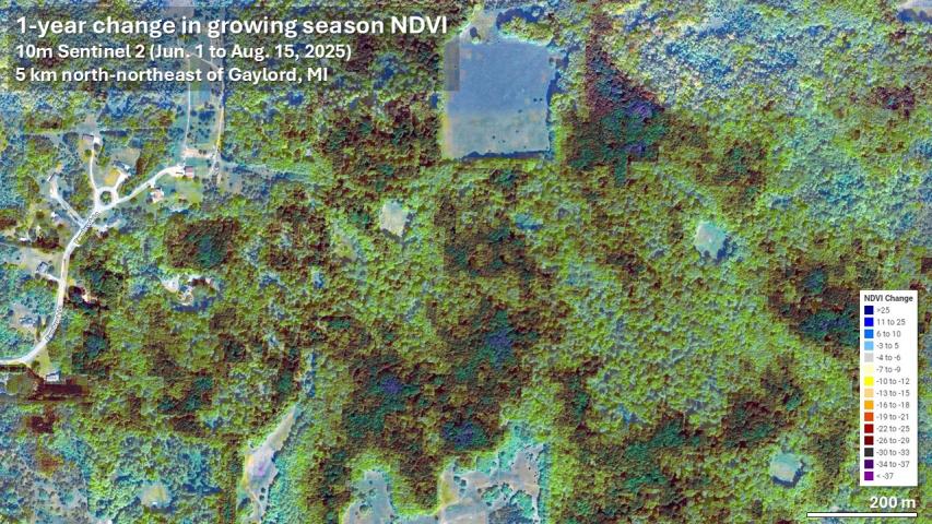 Summer 2025 departures of NDVI showing the area of major forest damage in northern Michigan at 10m resolution northeast of Gaylord