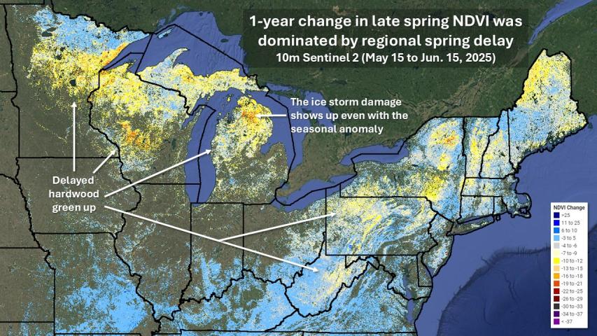 Early spring phenological delay with the more intense storm damage partially evident at 240m using Sentinel 3 change in NDVI
