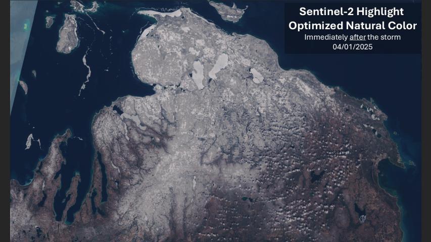 True color Sentinel 2 for northern Michigan immediately after the Mar 28-29 2025 ice storm