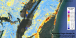 Hurricane Hugo damage to SC coastal forests 1989-1990