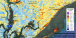 Hurricane Hugo damage to SC coastal forests near Charleston 1989-1990