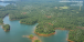 Southern Pine Beetles (SPB) mortality in Lincoln County, GA during 2023 from aircraft