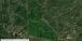 Pine beetle and drought mortality in MS and LA during fall 2023