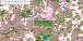 Pine beetle and drought mortality in MS and LA during fall 2023