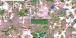 Pine beetle and drought mortality in MS and LA during fall 2023