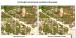 Pine beetle and drought mortality in MS and LA during fall 2023