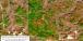 Pine beetle and drought mortality in MS and LA during fall 2023