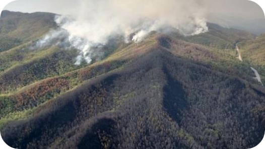 NC's Silver Mine Fire 2016 Photo credit: Kenny Frick USFS